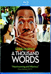 A Thousand Words (BRD)